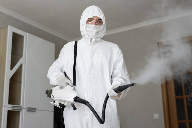 Best Mold Odor Removal Services  in USA